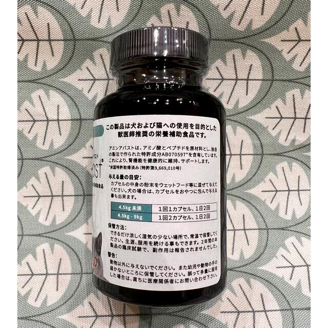 アミンアバスト1000mg 60カプセル　2箱