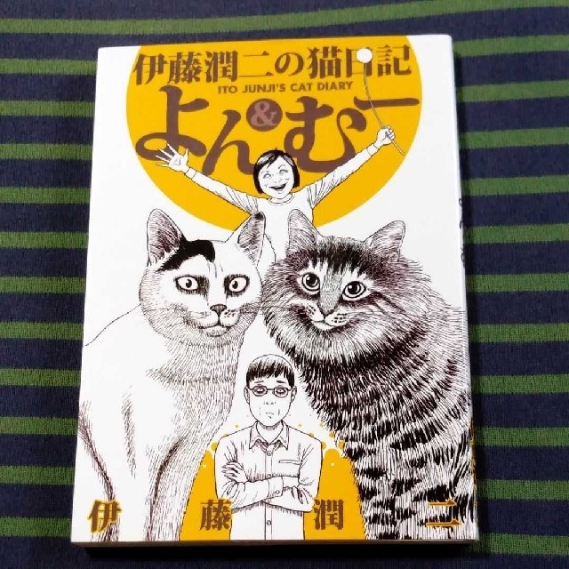 講談社(コウダンシャ)の伊藤潤二の猫日記　よん＆むー エンタメ/ホビーの漫画(青年漫画)の商品写真