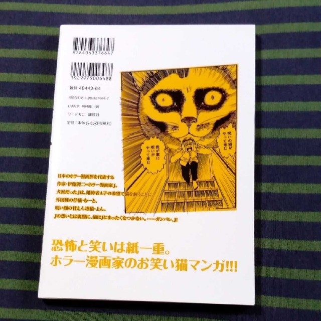 講談社(コウダンシャ)の伊藤潤二の猫日記　よん＆むー エンタメ/ホビーの漫画(青年漫画)の商品写真