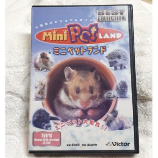 ビクター(Victor)のWin/Mac用CD-ROMソフト　ミニペットランド(PCゲームソフト)