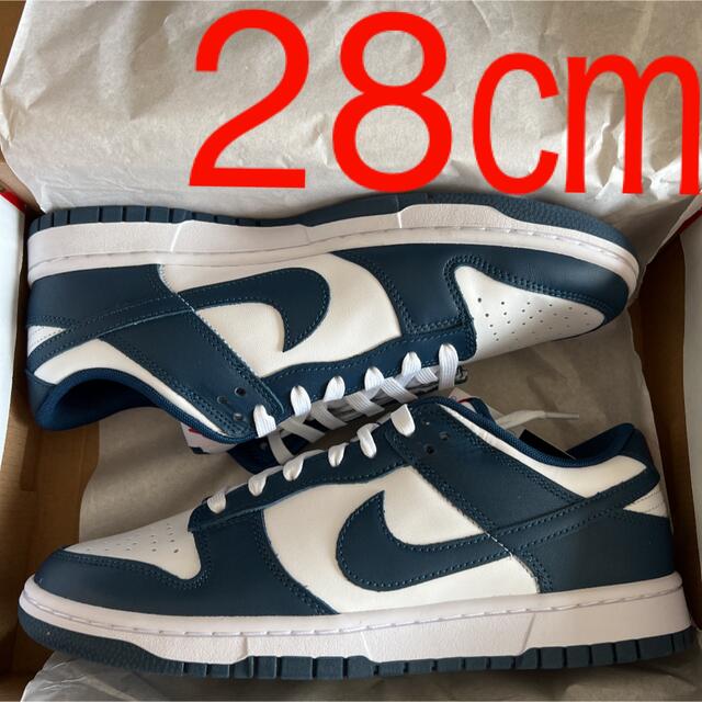 NIKE DUNK LOW VALERIAN BLUE 28 ナイキ　ダンク