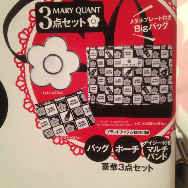 MARY QUANT(マリークワント)のMARY QUANT☆豪華3点セット☆ レディースのバッグ(トートバッグ)の商品写真