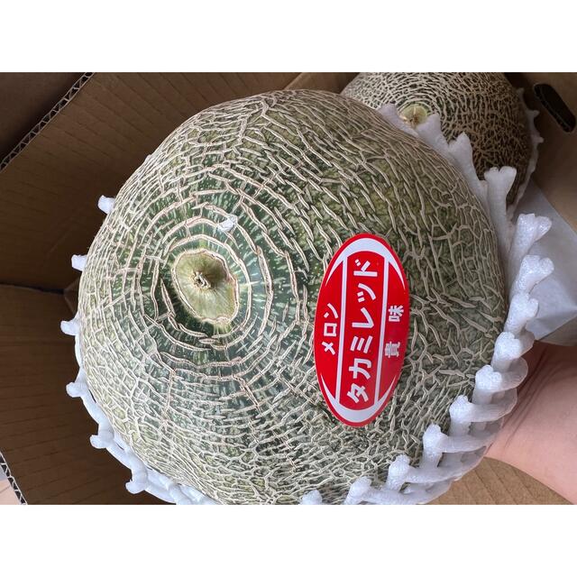 明日発送　希少品種　渥美半島産　高級メロン　1箱　5kg  タカミメロン 食品/飲料/酒の食品(フルーツ)の商品写真