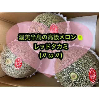 明日発送　希少品種　渥美半島産　高級メロン　1箱　5kg  タカミメロン(フルーツ)