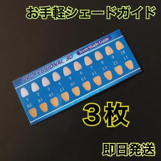 シェードガイド ホワイトニング 歯(その他)