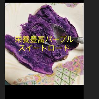 パープル紫芋苗1000本(野菜)