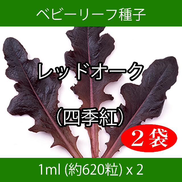 ベビーリーフ種子 B-04 レッドオーク（四季紅） 1ml 約620粒 x 2袋 食品/飲料/酒の食品(野菜)の商品写真