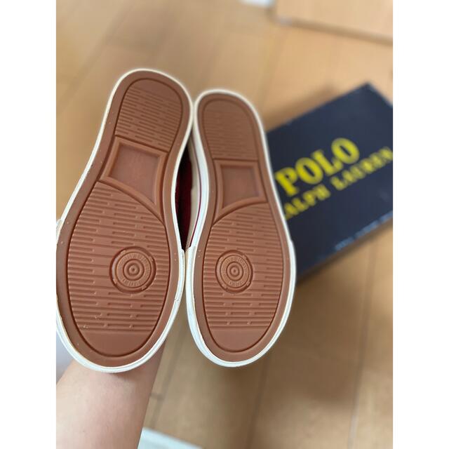 POLO RALPH LAUREN(ポロラルフローレン)のPOLO RALPH LAUREN 子供靴 キッズ/ベビー/マタニティのキッズ靴/シューズ(15cm~)(スニーカー)の商品写真