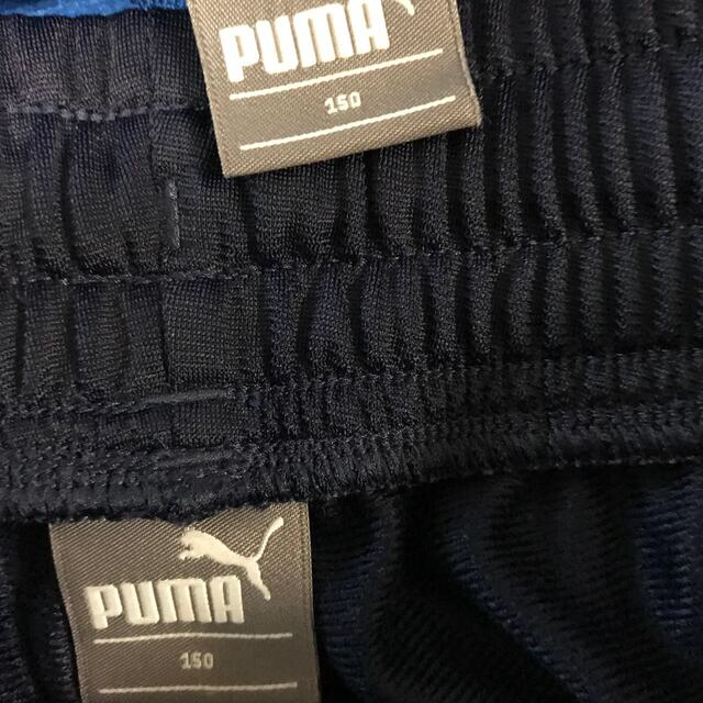 PUMA(プーマ)の150 着用数回　PUMA 上下 スポーツ/アウトドアのスポーツ/アウトドア その他(その他)の商品写真