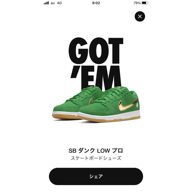 SB dunk st.patricks shamrock 25cm ダンク