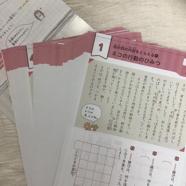 早ね早おき朝5分ドリル 小4 国語 文章読解 陰山 英男 4年 読解