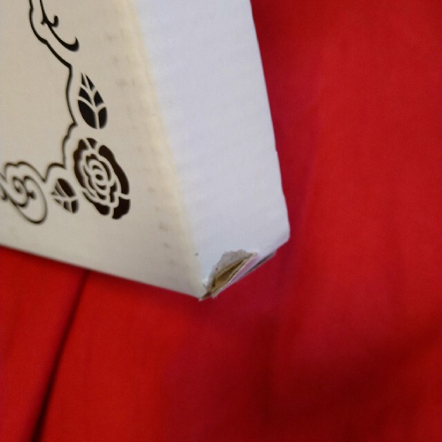 ANNA SUI(アナスイ)のアナスイ　折りたたみミラーM　未使用 レディースのファッション小物(ミラー)の商品写真
