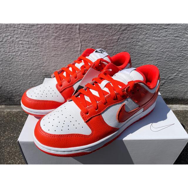 NIKE sb dunk low orange blaze