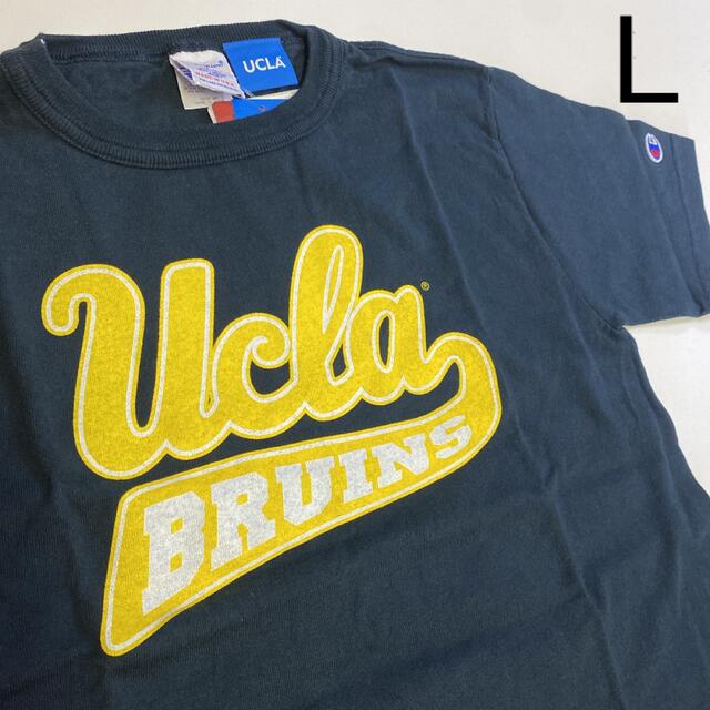 チャンピオン× UCLA   Tシャツ　SIZE  L
