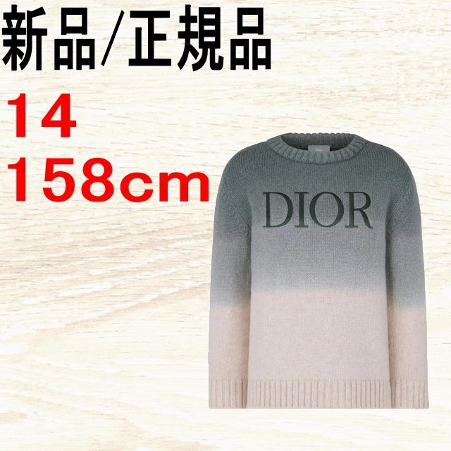 Paris●新品/正規品● DIOR ロゴ セーター ウール トリコットニット