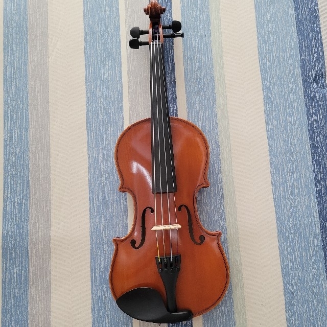 Eastman バイオリン 3/4 楽器の弦楽器(ヴァイオリン)の商品写真