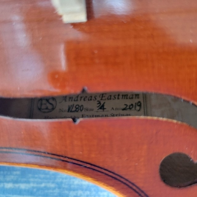 Eastman バイオリン 3/4 楽器の弦楽器(ヴァイオリン)の商品写真