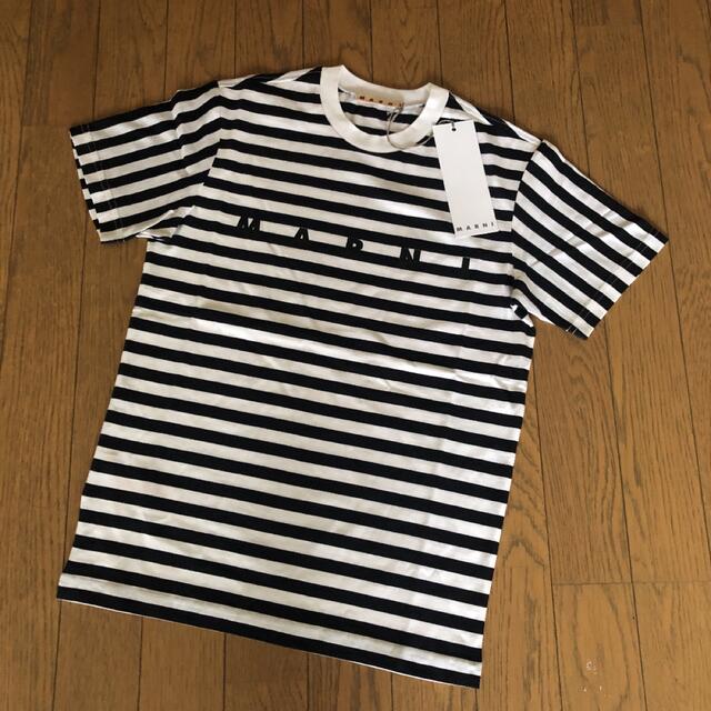 Marni(マルニ)の新品 MARNI マルニ ボーダー ロゴ Tシャツ キッズ 10Y XS S レディースのトップス(Tシャツ(半袖/袖なし))の商品写真