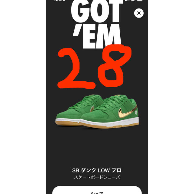 NIKE ダンクLOW プロ Shamrock