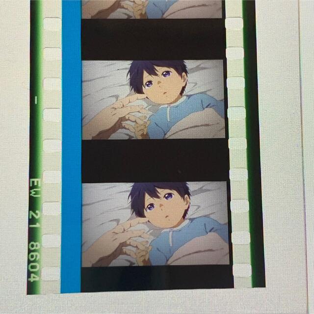 金城楓 須藤煌鉄 劇場版 Free! 入場者特典 フィルム コマフィルム 最