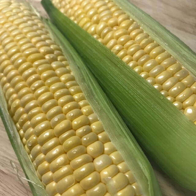 とうもろこし🌽 食品/飲料/酒の食品(野菜)の商品写真