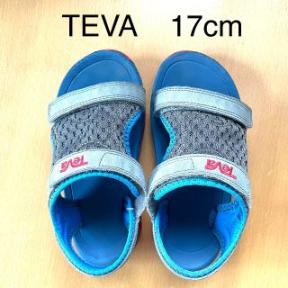 テバ(Teva)の美品　サンダル　テバ TEVA サイクロン XLT 17cm(サンダル)