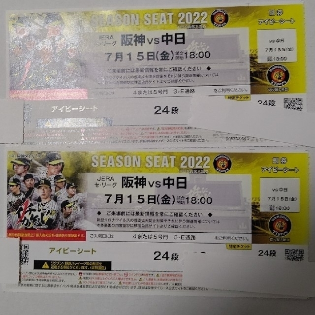 7月15日(金)阪神甲子園球場阪神VS中日 1塁アイビーペアチケット - スポーツ