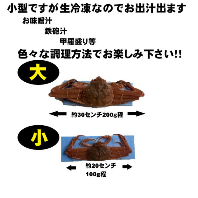 【大特価！！北海道産】生冷凍ズワイガニ　1kg   約5〜8尾程入れ  小型 食品/飲料/酒の食品(魚介)の商品写真