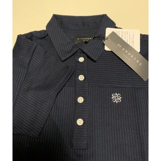 セントアンドリュース(St.Andrews)のSt ANDREWS レディースゴルフポロシャツ(ウエア)