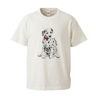 Saucy Dog Tシャツ XL(ミュージシャン)