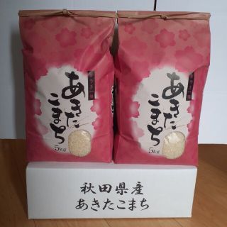 令和3年産あきたこまち精米10kg(5kg×2袋)　米(米/穀物)