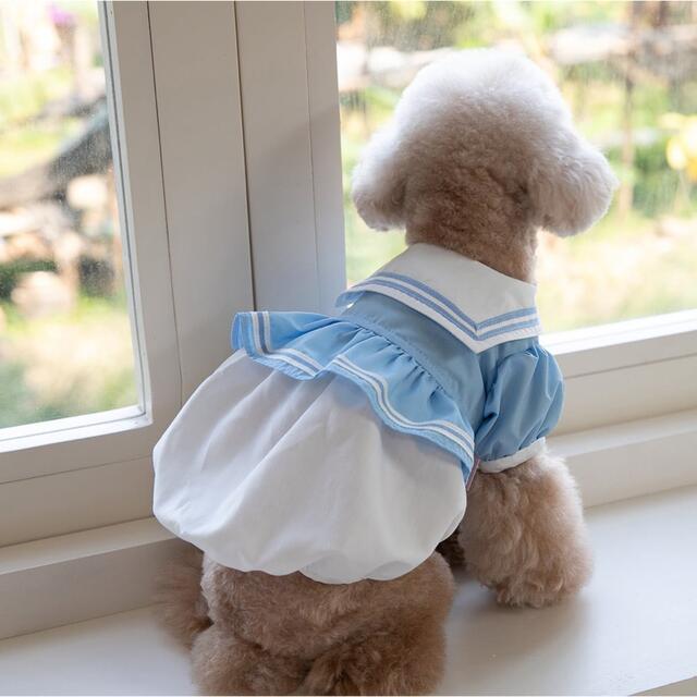 犬服　ペット服　ドッグウェア　可愛い　オシャレ　犬用品　ワンピース その他のペット用品(犬)の商品写真