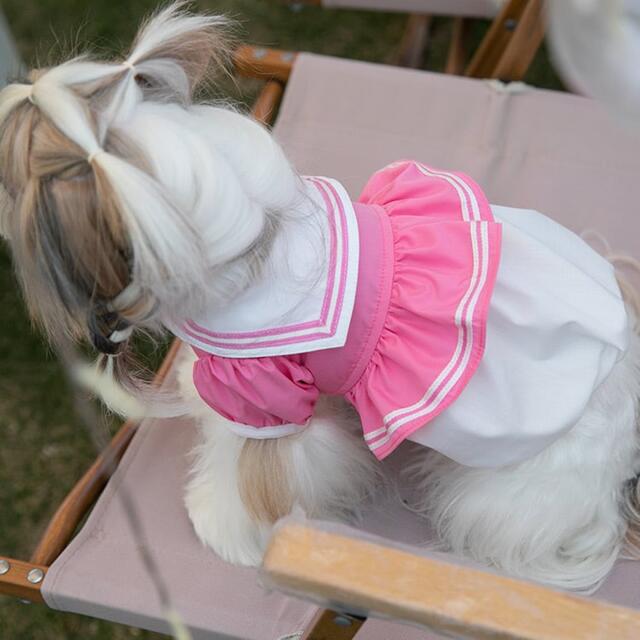 犬服　ペット服　ドッグウェア　可愛い　オシャレ　犬用品　ワンピース その他のペット用品(犬)の商品写真