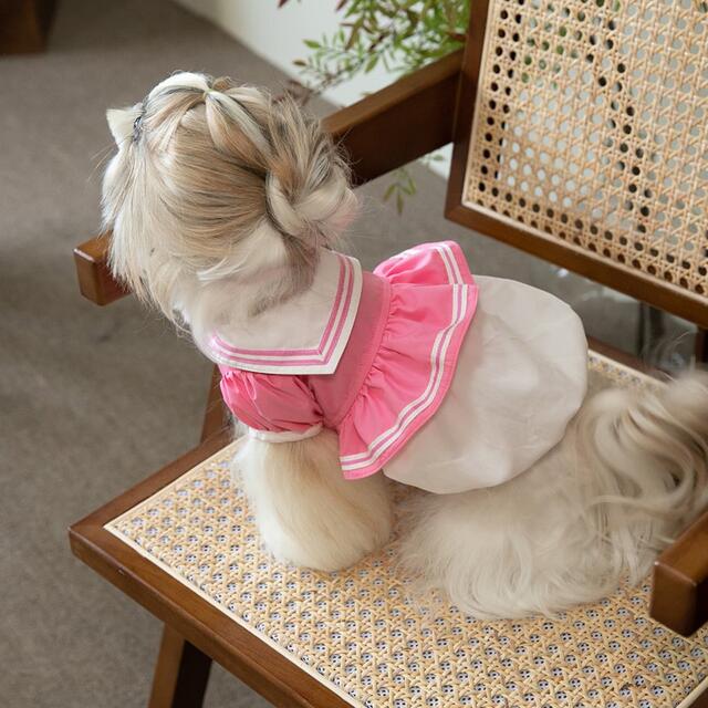 犬服　ペット服　ドッグウェア　可愛い　オシャレ　犬用品　ワンピース その他のペット用品(犬)の商品写真
