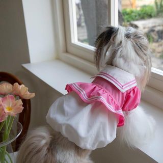 犬服　ペット服　ドッグウェア　可愛い　オシャレ　犬用品　ワンピース(犬)