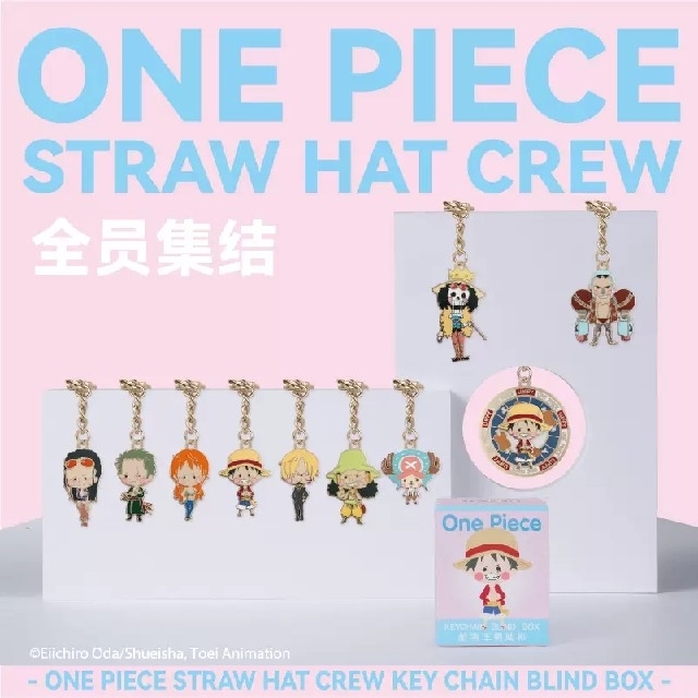 ONEPIECE　ワンピース　中国限定　麦わら海賊団　キーホルダー　セット