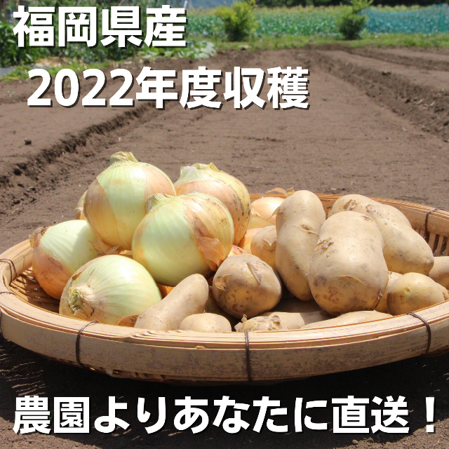 【お買い得！】令和４年産　玉ねぎ＆じゃがいものセット品　ともに３キロづつ 食品/飲料/酒の食品(野菜)の商品写真