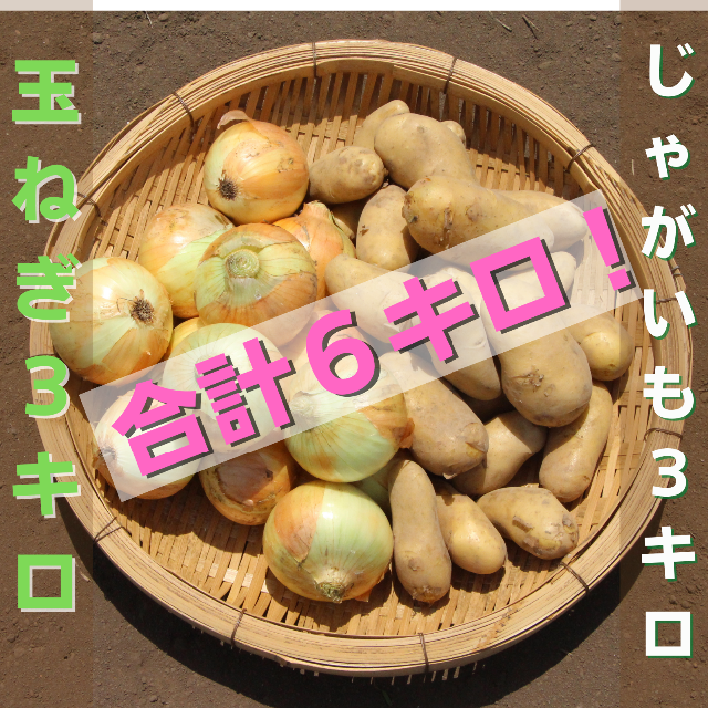 【お買い得！】令和４年産　玉ねぎ＆じゃがいものセット品　ともに３キロづつ 食品/飲料/酒の食品(野菜)の商品写真