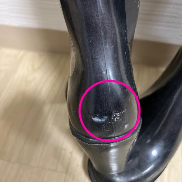 Dafna Boots(ダフナブーツ)の【値下げ】レジーナレジスレイン　長靴　レインブーツ　24.5センチ レディースの靴/シューズ(レインブーツ/長靴)の商品写真