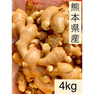 熊本県産　囲い生姜　4kg(野菜)