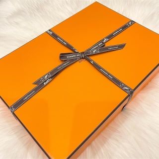 Hermes - 【新品未使用】レア エルメス オラン 36 スエードの通販 by