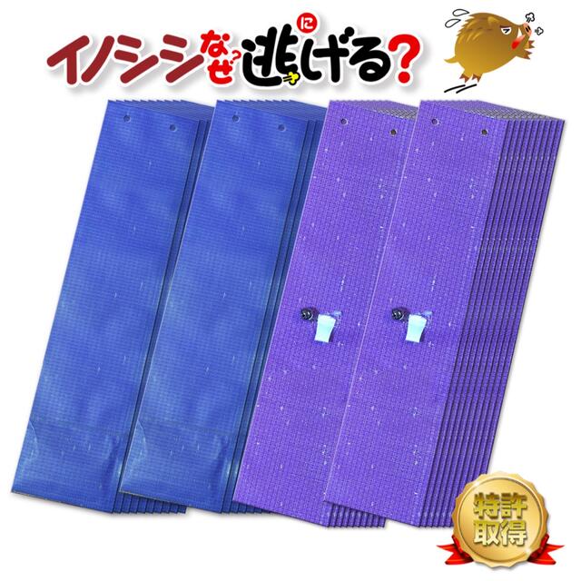 イノシシ撃退！イノシシなぜ逃げる 農業、業務用50枚セット