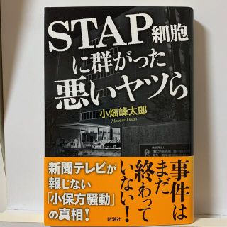 STAP細胞に群がった悪いヤツら(ビジネス/経済)