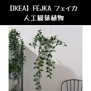 イケア(IKEA)の【IKEA】イケア FEJKA フェイカ 人工観葉植物(置物)