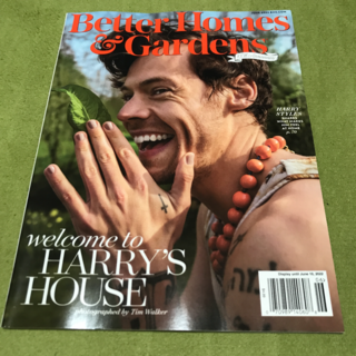 グッチ(Gucci)のBetter Homes & Gardens　Harry Styles(音楽/芸能)