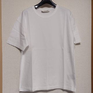 かい専用　BOTTEGA VENETA　ボッテガ　Tシャツ