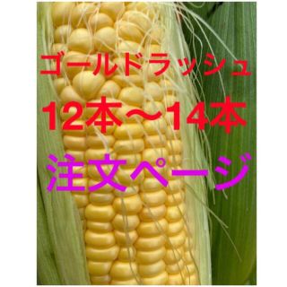 トウモロコシ　ゴールドラッシュ(野菜)