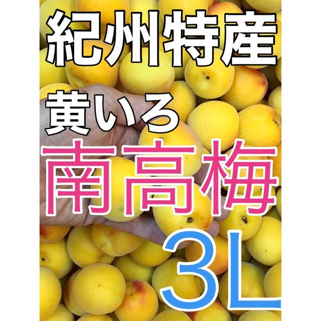 r0803  紀州黄いろ南高梅 1kg 大玉3Lサイズ　梅干し向け　和歌山　　 食品/飲料/酒の食品(フルーツ)の商品写真