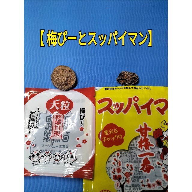 梅ぴー100】梅干し ドライフルーツ 梅 梅肉 梅菓子沖縄お土産 乗り物酔い