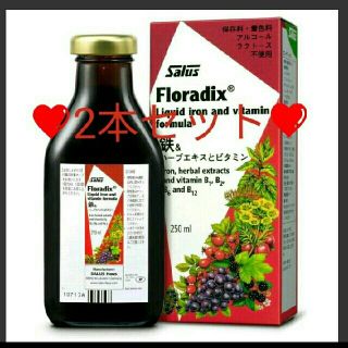 サルース(salus)の新品未開封✨Floradix❤フローラディクス❤250ml❤2本セット(その他)